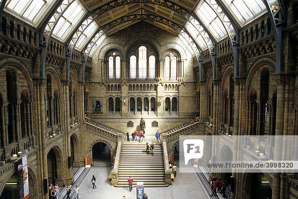 Natural History Museum  Naturhistorisches Museum  Treppe in der zentralen Halle  Knightsbridge  London  England  Großbritannien  Europa
