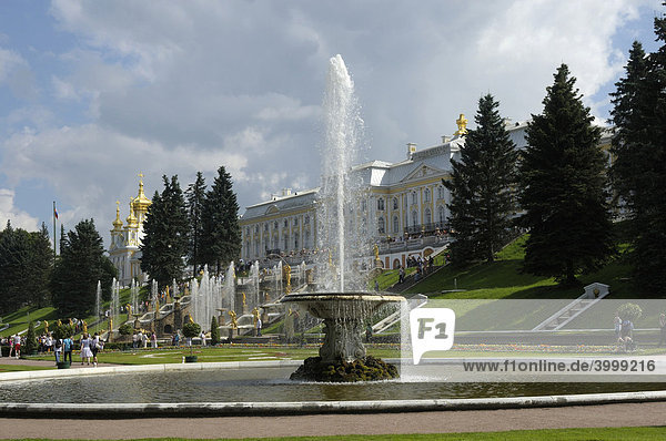 Peterhof  Petrodvorez  Sankt Petersburg  Russland  Europa