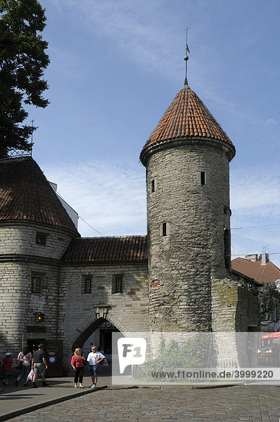 City walls  Tallinn  Estonia  Europe