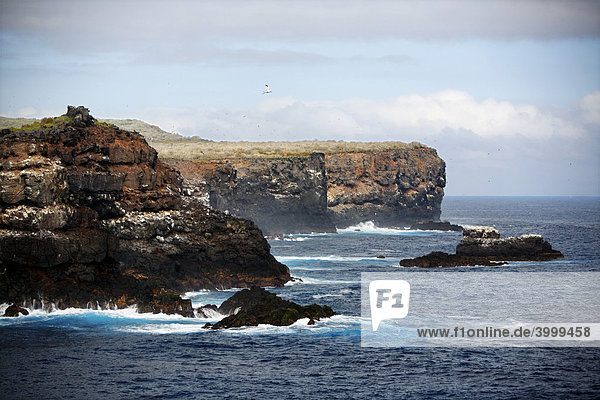 Steep coast  rocky coast  Espanola  Hood Island  Galapagos archipelago  Unesco World Heritage Site  Ecuador  South America  Pacific