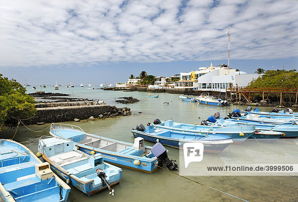 Boats in the harbour in front of wharves and houses  Porto Ayora  Santa Cruz Island  Indefatigable Island  Galapagos Archipelago  Ecuador  South America  Pacific Ocean