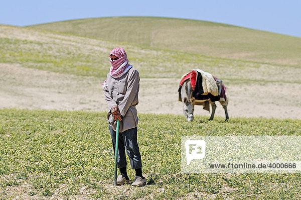Shepherd with mule on the mountain Jebel Arruda  Syria  Asia