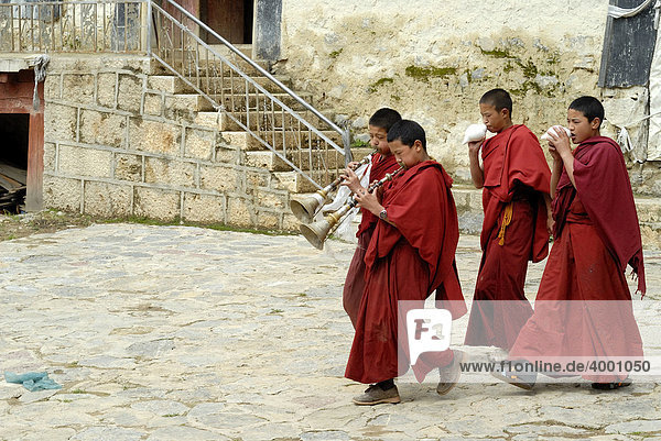 Mönche starten zu einer Prozession mit Muschelhorn und Tempelhörnern im Kloster Tsungsteling in Shangri la  Shangrila  Zhongdiang  tibetisch: Gyeltang  Yünnan  China  Asien