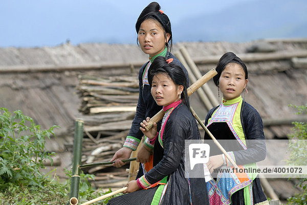 Drei junge Frauen mit traditioneller Haarfrisur und Tracht der Basha-Minderheit  kleinste Minderheit in China  Basha  Guizhou  China  Asien
