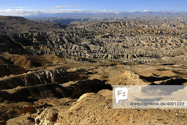 Canyonlandschaft um den Sutley Fluss im alten Königreich Guge in Westtibet  Himalaya  Provinz Ngari  Tibet  China  Asien