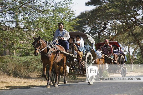 Pferdekutsche  Old Bagan  Pagan  Burma  Birma  Myanmar  Asien