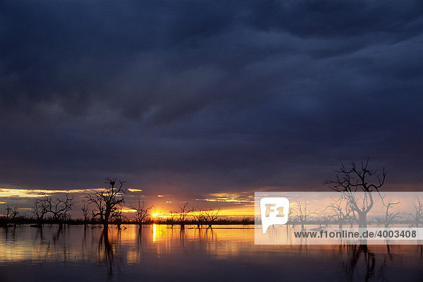 Sonnenuntergang am Lake Menindee  Kinchega Nationalpark  New South Wales  Australien