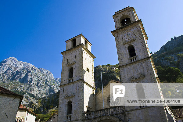 St. Tryphon Kathedrale in Kotor  Montenegro  Europa