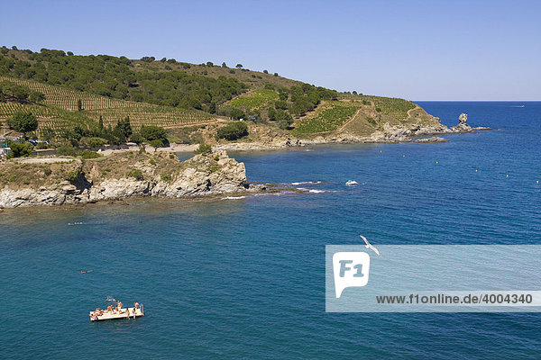 Eine Badeplattform schwimmt in der Bucht von Banyuls sur Mer  an der Cote Vermeille  DÈpartement PyrÈnÈes-Orientales  im Roussillon  Region Languedoc-Roussillon  Südfrankreich  Frankreich