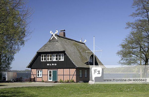 Norddeutsches Reetdachhaus  DLRG-Station am Großen Ratzeburger See  Ratzeburg  Schleswig-Holstein  Deutschland  Europa