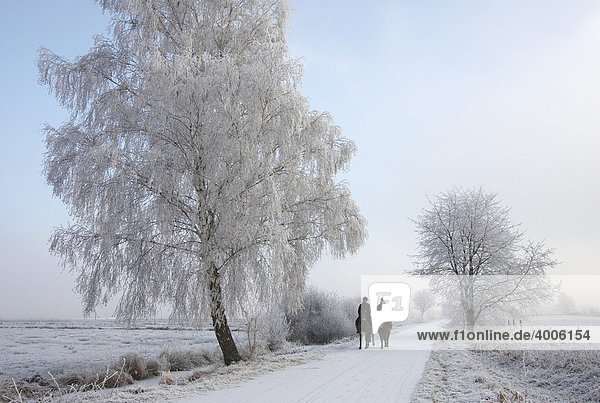 Weg durch das Landschaftsschutzgebiet Blockland im Winter mit zwei Reitern und rauhreifbedeckten Bäumen  Bremen  Deutschland  Europa