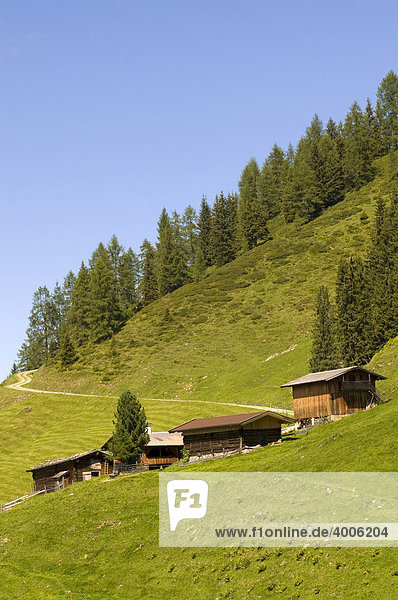 Breitegg-Alm  Wildschönau  Tirol  Österreich  Europa