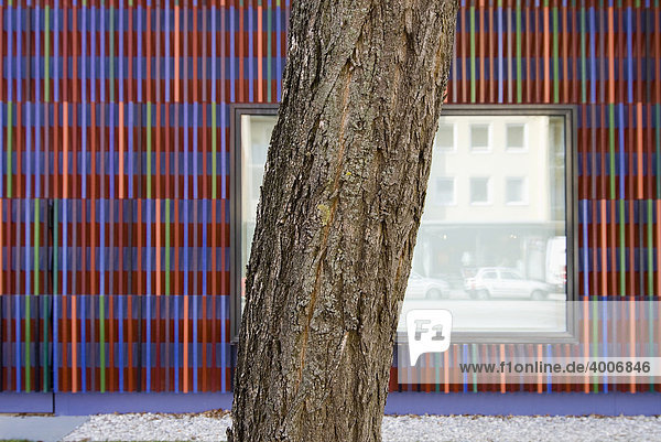 Museum Brandhorst im Münchner Museumsareal München Bayern Deutschland
