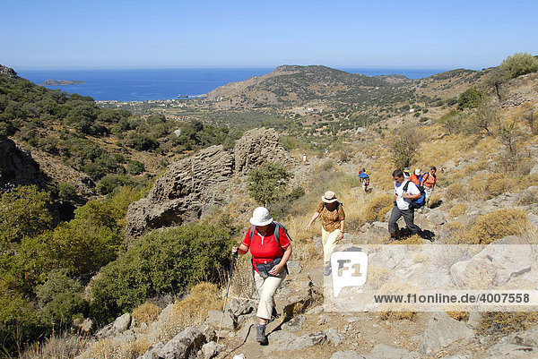 Gruppe beim Wandern in mediterraner Landschaft  Macchie  Mühlental bei Petra  Lesbos  Ägäis  Griechenland  Europa