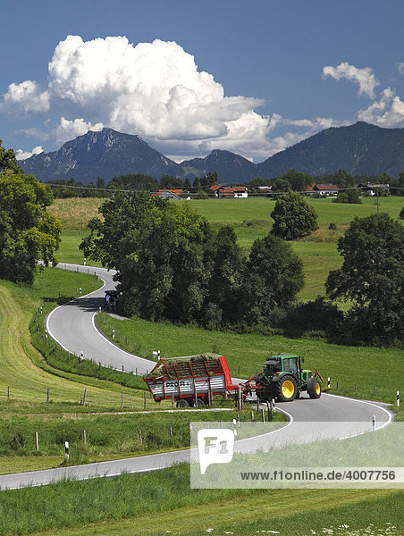 Straße  Landwirtschaft  Landschaft  Sommer  Riegsee  Murnau  Oberbayern  Bayern  Deutschland  Europa