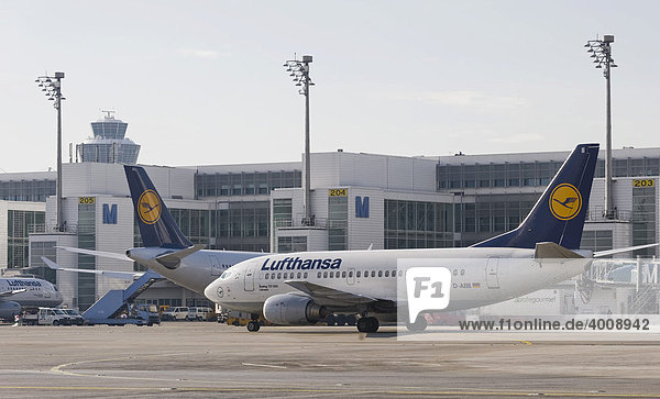 Die Boeing des Typs 737-500 Loerrach der Deutschen Lufthansa auf dem Flughafen München  Bayern  Deutschland