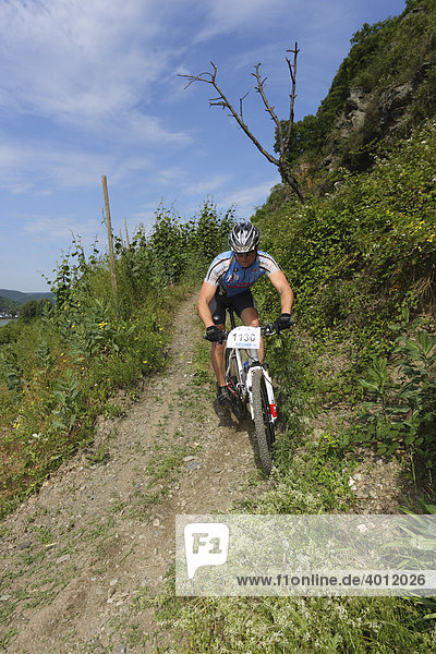 Mountain bike race in the vineyards at Boppard  Rhineland-Palatinate  Germany  Europe