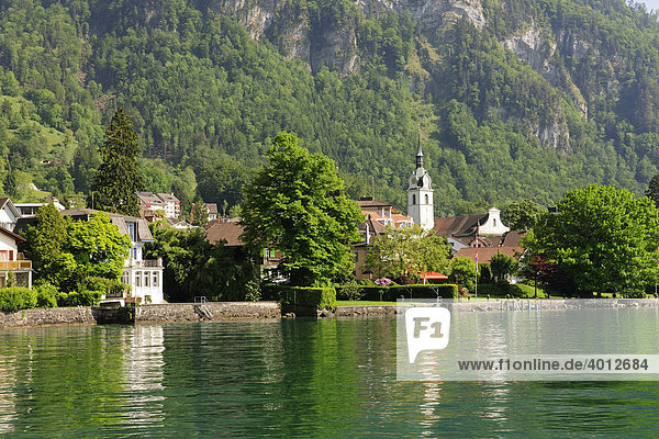 Die Ortschaft Vitznau am Vierwaldstättersee  eine populäre Feriendestination  Kanton Luzern  Schweiz  Europa Kanton Luzern
