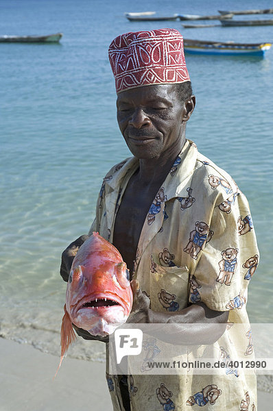 Ein Fischer mit einem frisch gefangenen Roten Schnapper (Lutjanus campechanus) Masoko Bay in Kilwa Tansania Afrika