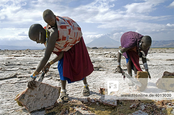 Maasai women using chopping knives to extract salt slabs  soda extraction at Lake Natron  Tanzania  Africa