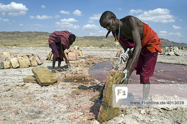 Maasai using chopping knives to extract salt slabs  soda extraction at Lake Natron  Tanzania  Africa