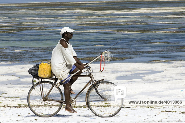 Fisherman with harpoon on a bicycle returning home  BWE Juu  Zanzibar  Tanzania  Africa