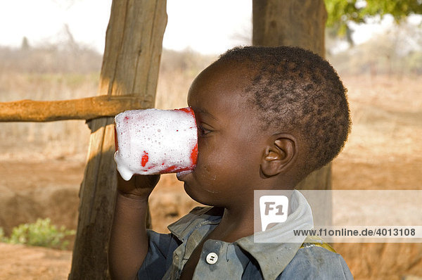 Ein Kind trinkt frisch gemolkene Milch aus einer Tasse in Magoye Mazabuka Sambia Afrika