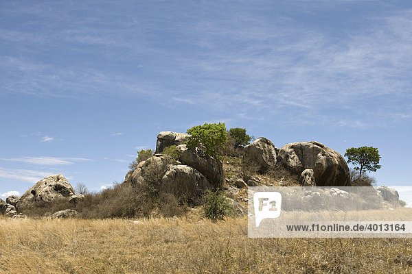 Kopjes Inselberge in der Serengeti Tansania Afrika