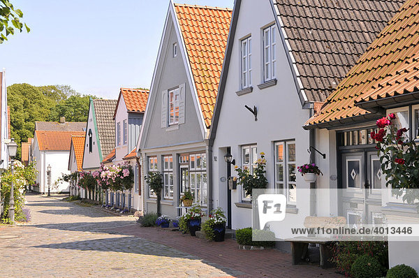 Alte Häuser in der Fischersiedlung Holm  Schleswig  Schleswig-Holstein  Norddeutschland  Deutschland  Europa