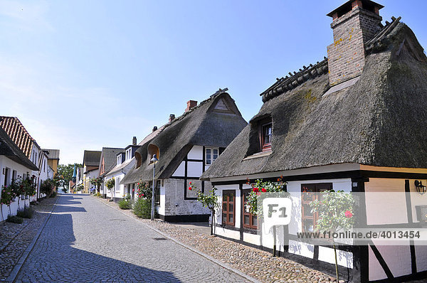 Reetdachhäuser in Maasholm  Schleswig-Holstein  Norddeutschland  Deutschland  Europa