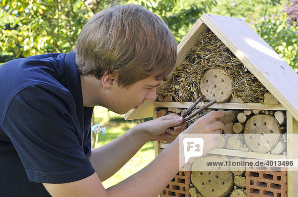 Jugendlicher beim Bau eines Insektenhotels