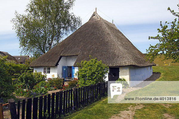 Reetgedecktes Haus  Pfarrwitwenhaus mit Bauerngarten  Gross Zicker  Mönchsgut  Insel Rügen  Ostseeküste  Mecklenburg-Vorpommern  Deutschland  Europa