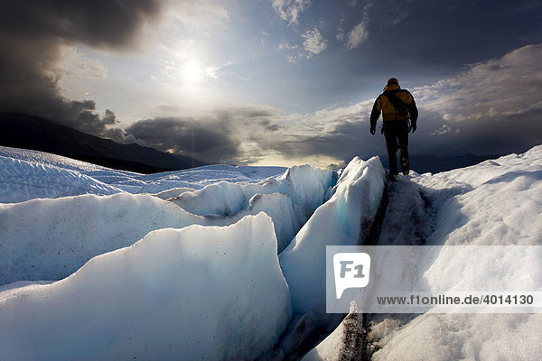 Mountain climber  Mad Anouska Glacier  Alaska  USA  North America