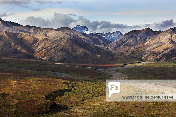 Alaska Range im Denali Nationalpark im Herbst  Alaska  Nordamerika  USA  Amerika