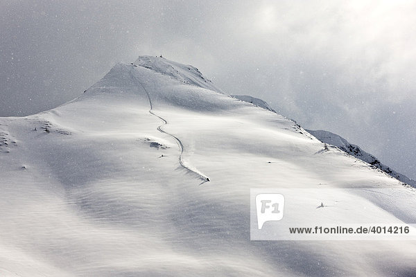 Freestyle skier in terrain covered in deep snow  Northern Tyrol  Austria  Europe
