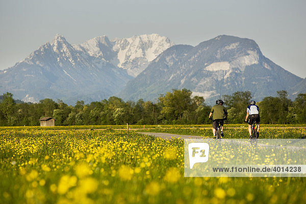 Radfahrer im Frühling bei Kramsach mit Blick auf den Wildern Kaiser  Nordtirol  Österreich  Europa