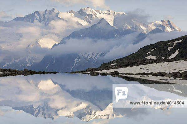 Hochfeiler spiegelt sich im Friesenbergsee  Zillertaler Alpen  Tirol  Österreich  Europa
