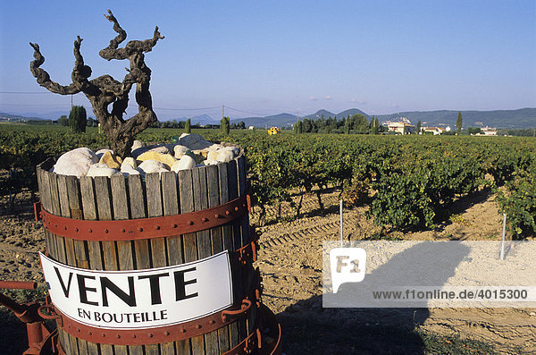 Werbung für Weinverkauf  Weinreben  Weinbau  Weinberg  Wein  bei Violes  Cotes du Rhone  Provence  Frankreich  Europa