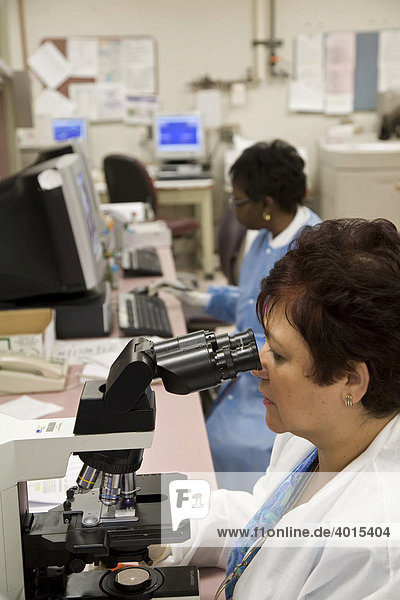 Medizinische Assistentin Anna Gil prüft Blutproben nach abnormen Zellen im Labor des Detroit Medical Center  Detroit  Michigan  USA