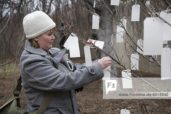 Besucher der Feierlichkeiten zur Amtseinführung Barack Obamas schreiben ihre Wünsche für die Zukunft auf Karten und befestigen diese am Yoko Ono Wish Tree  Wunschbaum  im Hirshhorn Museum Skulpturengarten  Washington  DC  USA
