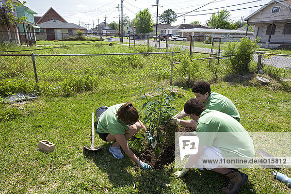 Freiwillige von der High School pflanzen Bäume im Lower Ninth Ward Stadtviertel  welches von Hurricane Katrina verwüstet wurde  New Orleans  Louisiana  USA