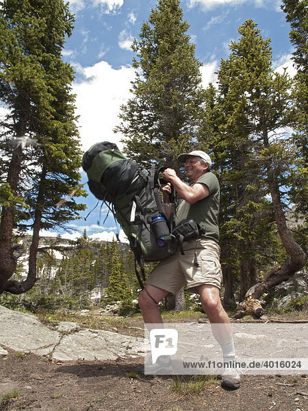 John West  62  hebt einen schweren Rucksack während eines Rucksackurlaubs im Gebiet der Missouri Seen in der Holy Cross Wilderness  White River National Forest  Colorado  USA