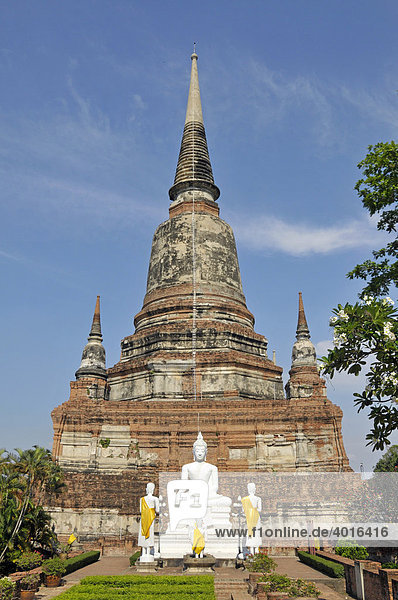Buddhastatuen vor dem Great Chedi Chaya Mongkol  Wat Yai Chai Mongkon  Ayutthaya  Thailand  Asien