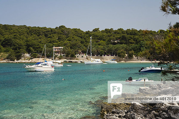 Bucht  Insel Palmizana  Dalmatien  Kroatien  Adria  Mittelmeer  Europa