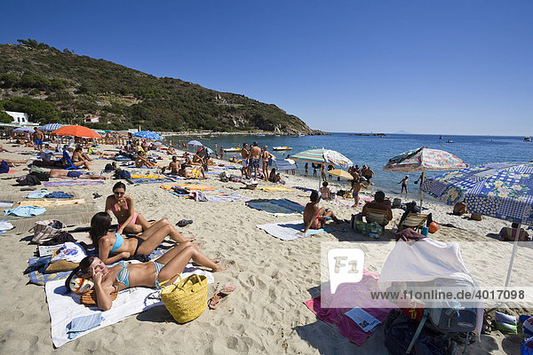 Strand von Cavoli  Elba  Toskana  Italien  Mittelmeer  Europa