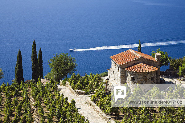 Kleine Villa mit Weinberg über der Küste nahe dem Orano Pass  Elba  Toskana  Italien  Mittelmeer  Europa