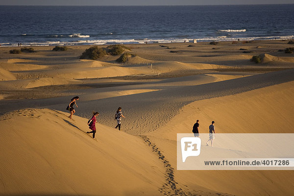 Dunes of Maspalomas  Grand Canary  Canary Islands  Spain  Europe