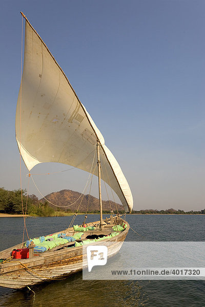Dhau  afrikanisches Segelboot  Pumulani Lodge  Malawi See  Malawi  Südost-Afrika