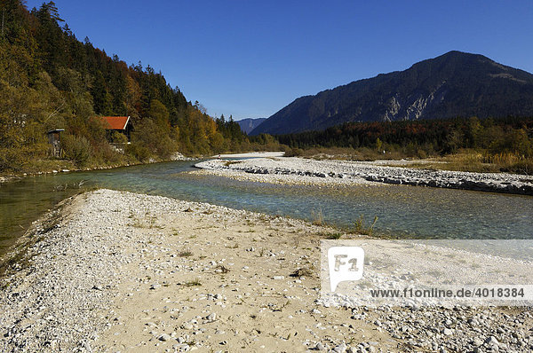 Headwaters of the Isar River in autumn  Bavaria  Germany  Europe