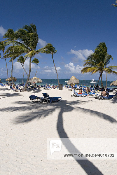 Sonnenbaden unter Palmen (Cocos nucifera),  Punta Cana,  Dominikanische Republik,  Mittelamerika